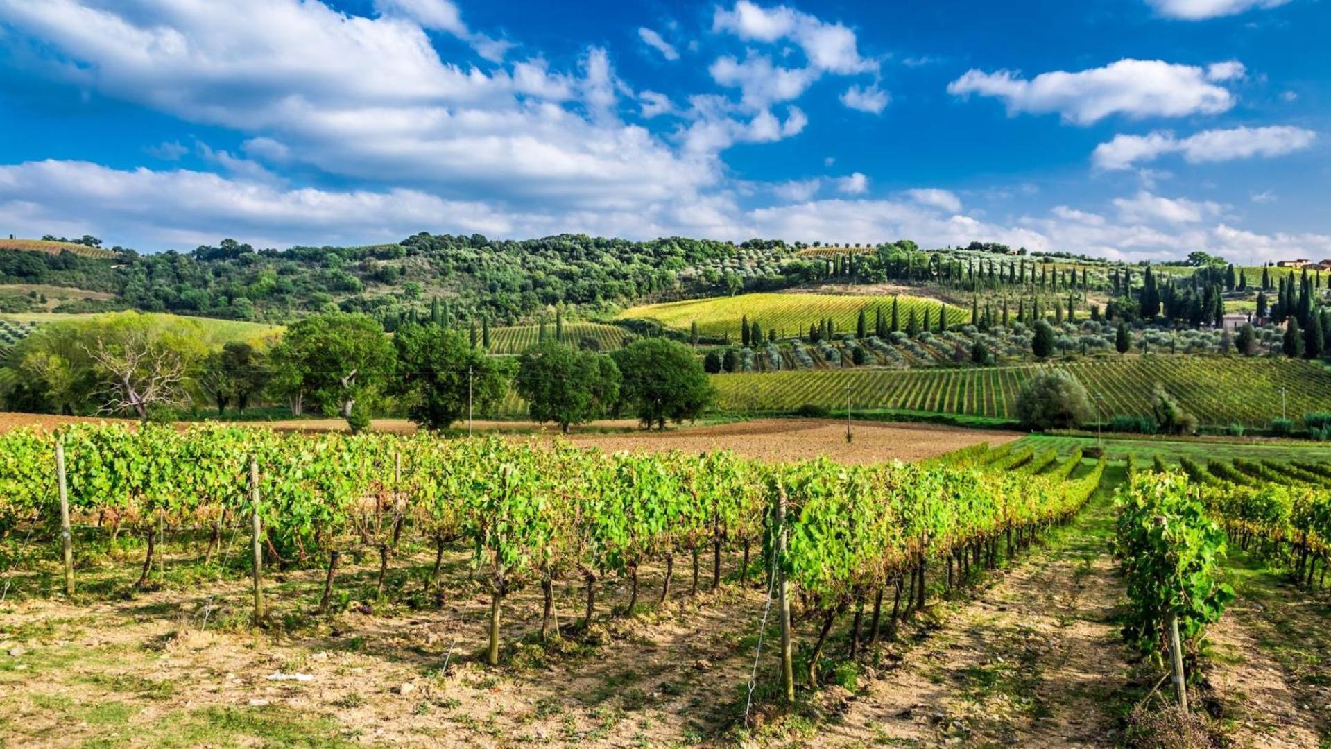 كاستل ديل بيانو Terre Gialle - La Val D'Orcia Nascosta المظهر الخارجي الصورة