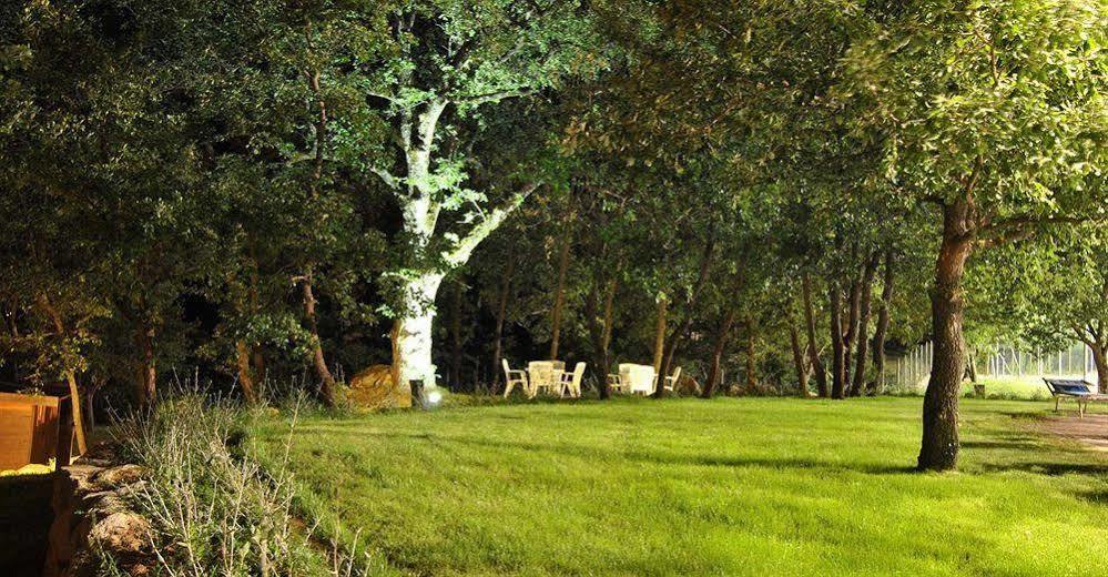 كاستل ديل بيانو Terre Gialle - La Val D'Orcia Nascosta المظهر الخارجي الصورة