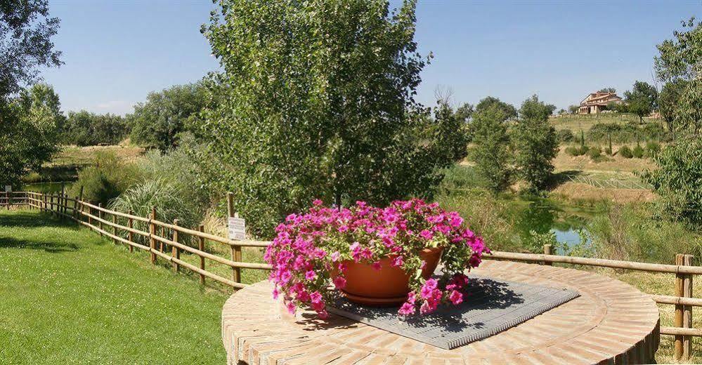 كاستل ديل بيانو Terre Gialle - La Val D'Orcia Nascosta المظهر الخارجي الصورة